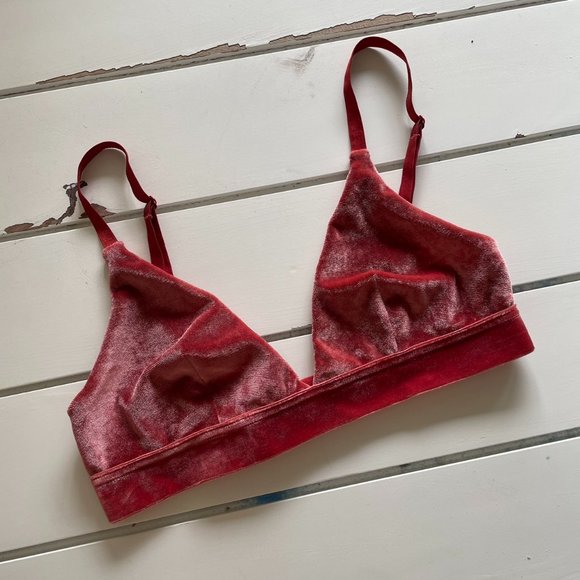 Glassons Tops - GLASSONS Pink Red Maroon Velvet Bra Bralette NWOT